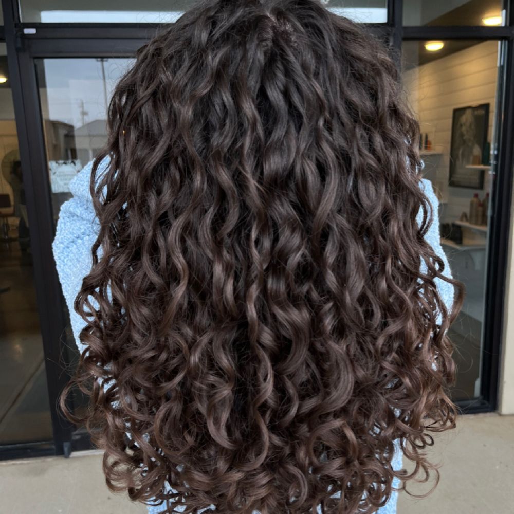 Alexi Berry hair work in Huntsville, example 1