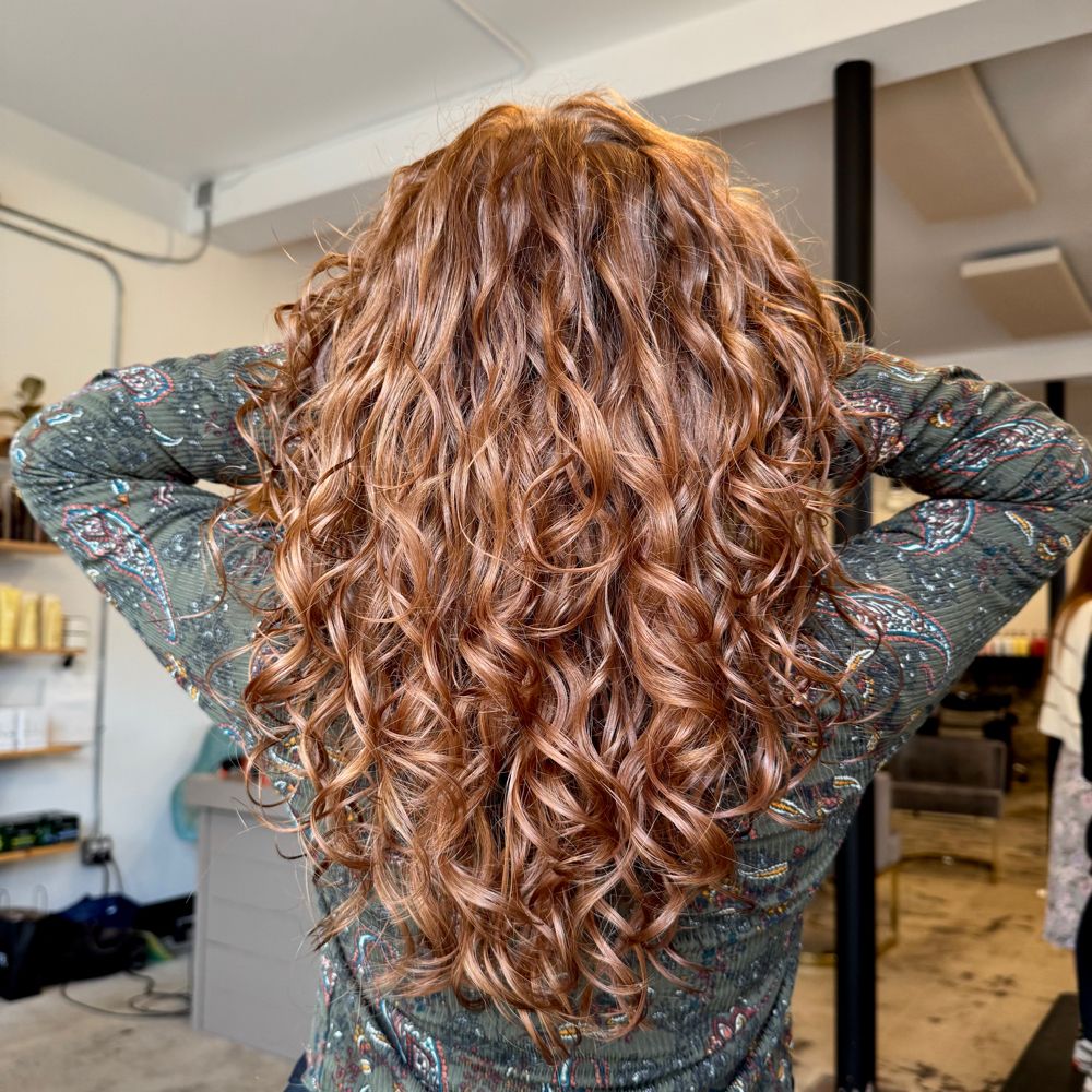 Hair work by Coil & Canvas Hair Studio