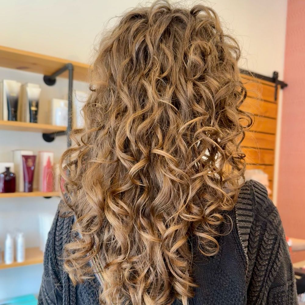 Coil & Canvas Hair Studio hair work in Asheville, example 1