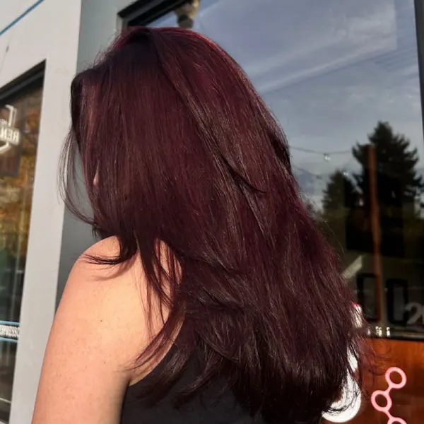 Hair work by Hair By Alisa