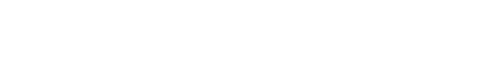 Opal Hair Company